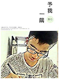 维京海盗对战